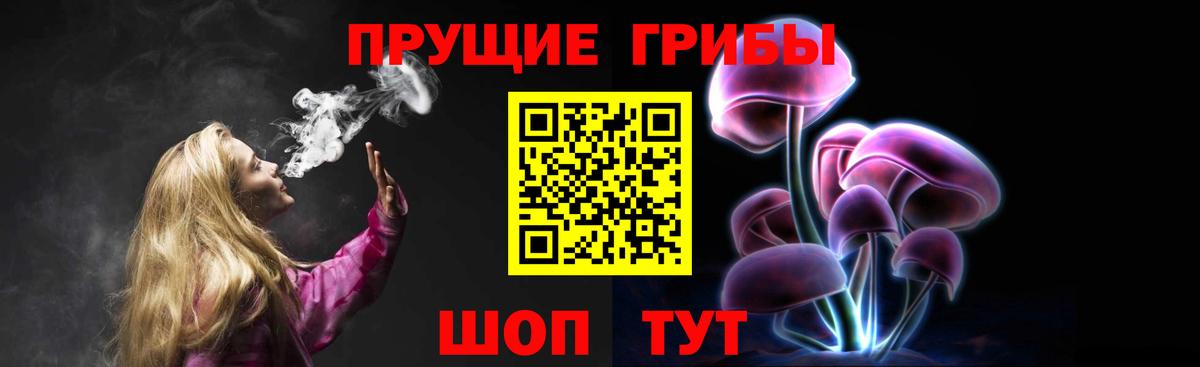 Кимовск  наркота  Вход с VPN  Псилоцибиновые грибы мицелий 